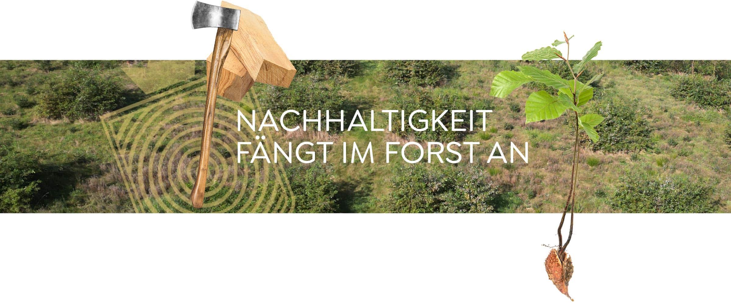 Banner Holzherrschaft Aufforstung Axt Baum